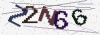 Verification Image